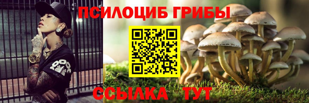 Пугачёв  Псилоцибиновые грибы мицелий  Вход с VPN 
