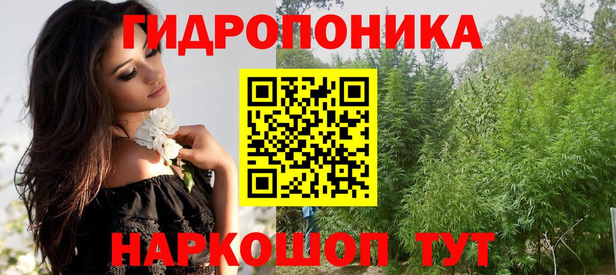 Конопля семена Пугачёв
